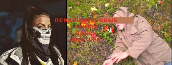 прущая мука Костерёво