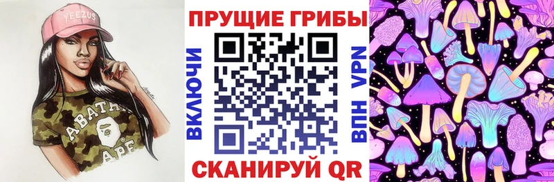 Псилоцибиновые грибы Cubensis  Купить  Чайковский 